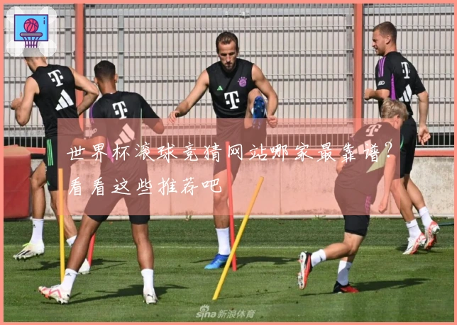 世界杯滚球竞猜网站哪家最靠谱？看看这些推荐吧
