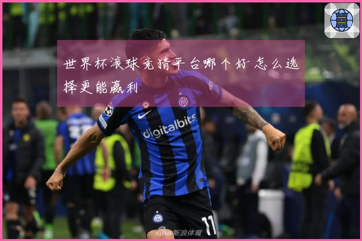 世界杯滚球竞猜平台哪个好 怎么选择更能赢利