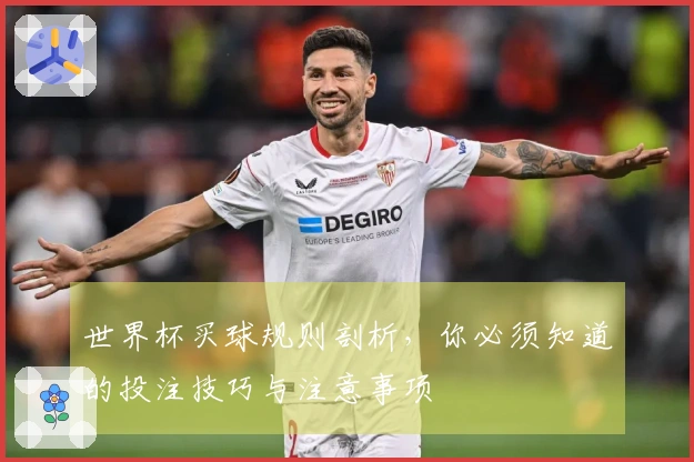 世界杯买球规则剖析，你必须知道的投注技巧与注意事项