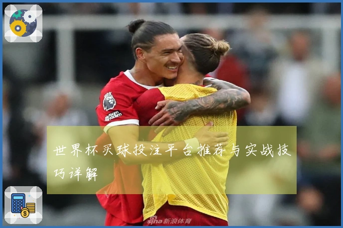 世界杯买球投注平台推荐与实战技巧详解