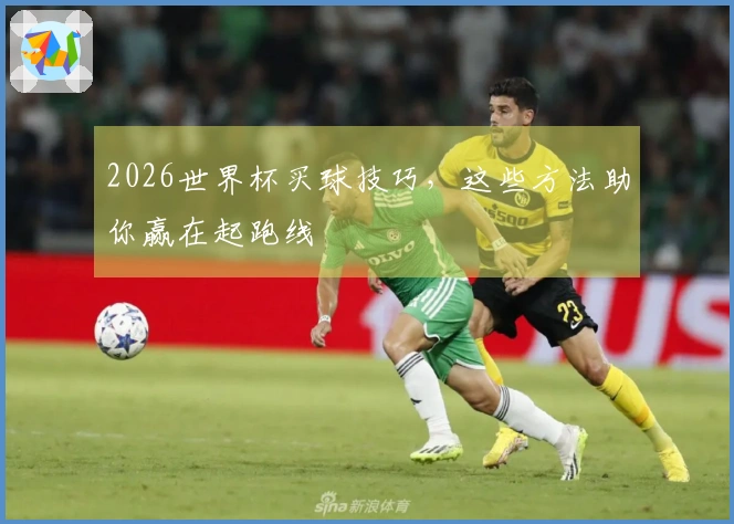 2026世界杯买球技巧，这些方法助你赢在起跑线