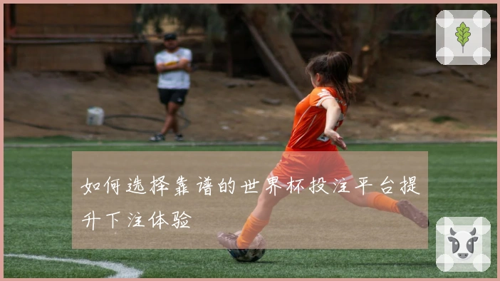 如何选择靠谱的世界杯投注平台提升下注体验