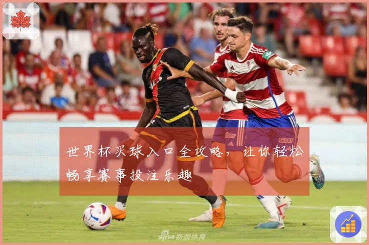 世界杯买球入口全攻略，让你轻松畅享赛事投注乐趣