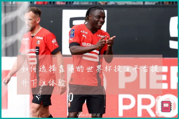 如何选择靠谱的世界杯投注平台提升下注体验